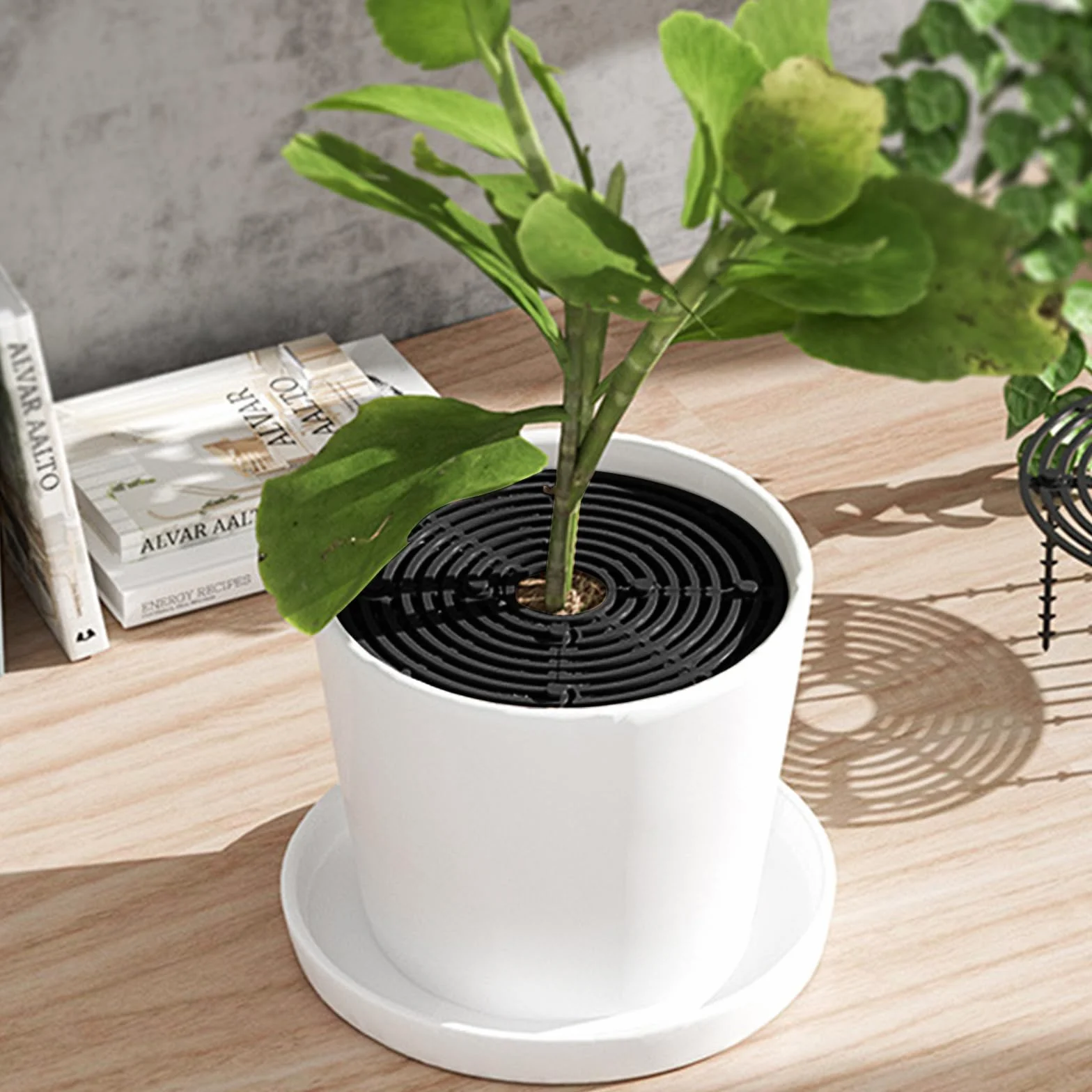 JMIATRY Lot de 5 grilles de protection pour pots de fleurs 30 cm + 52 cm noires