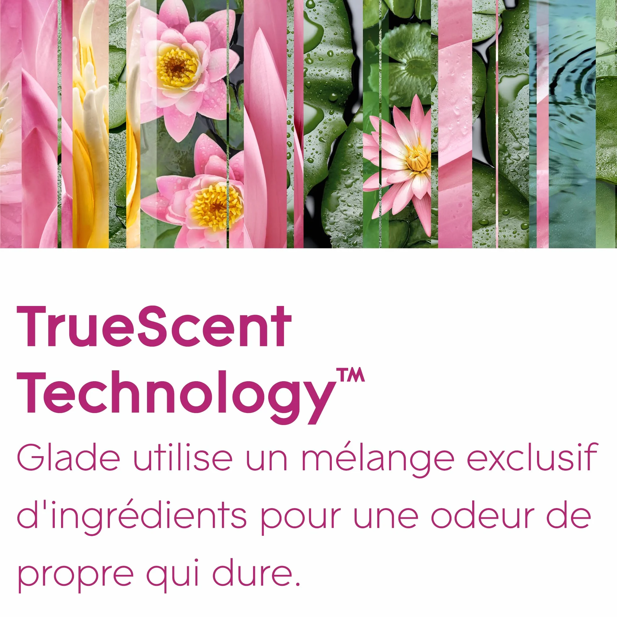 Glade Sense et Spray Recharge Diffuseur à Détection de Mouvement Infusé Aux Huiles Essentielles Relaxing Zen 1 Recharge