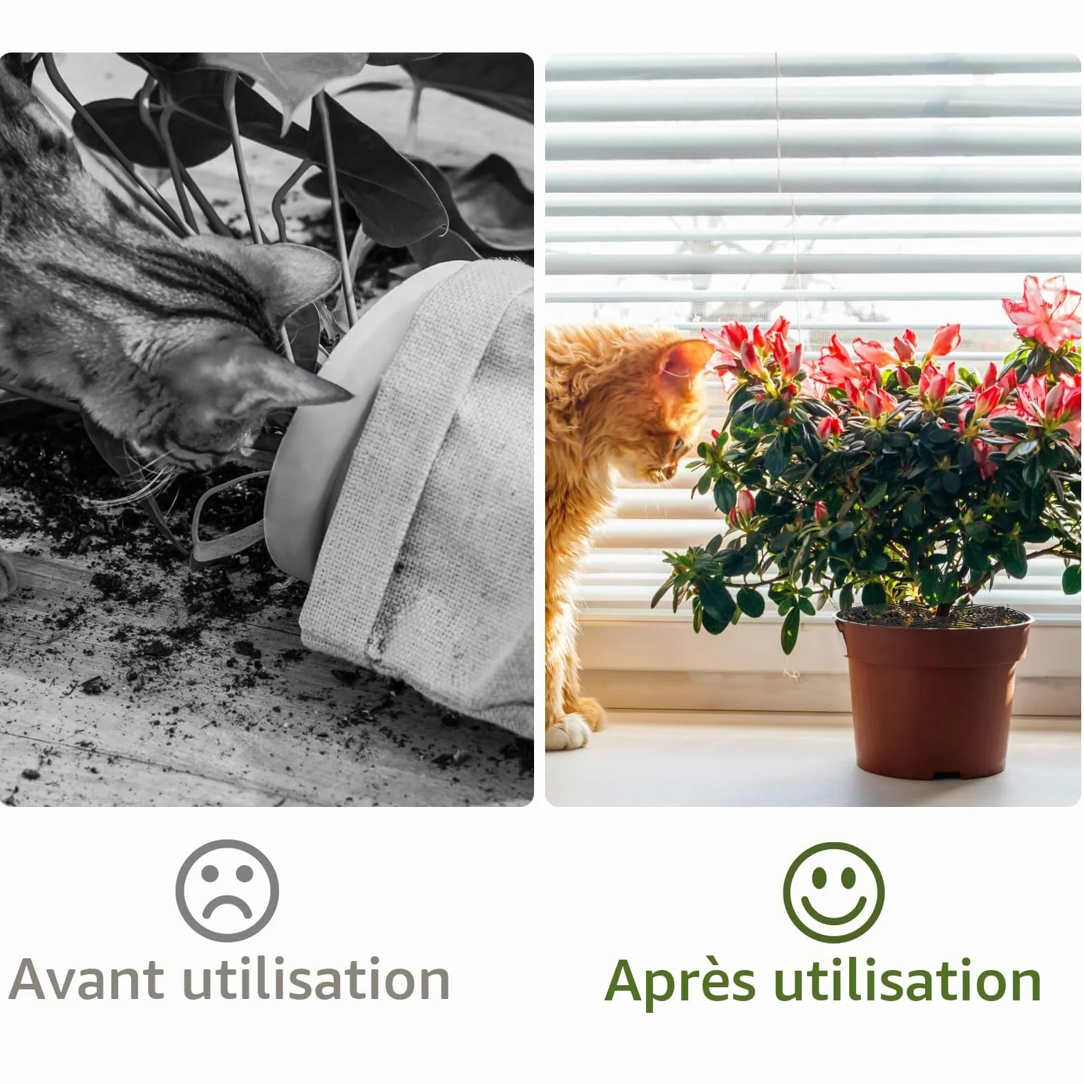 Grilles de Protection pour Pots de Plantes - Cache-Pot Réglable 30 cm - Kit Complet avec Boulons et Feuilles en Plastique ABS