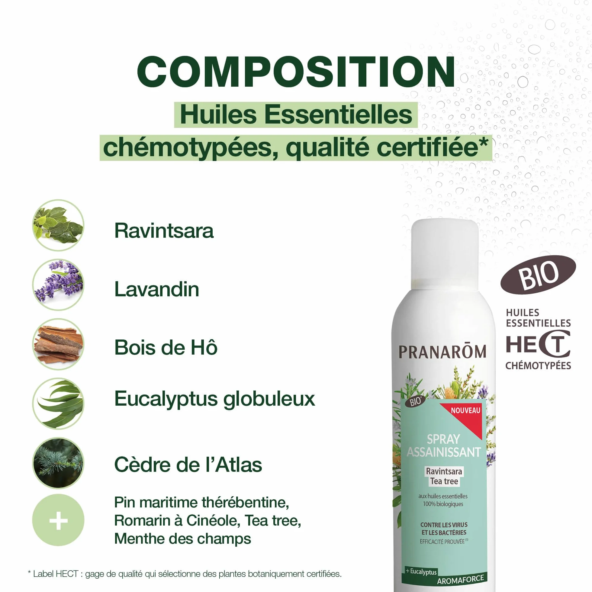 Aromaforce Spray Assainissant Huiles Essentielles Bio Ravintsara Tea Tree Purifie L'Air 150 ml