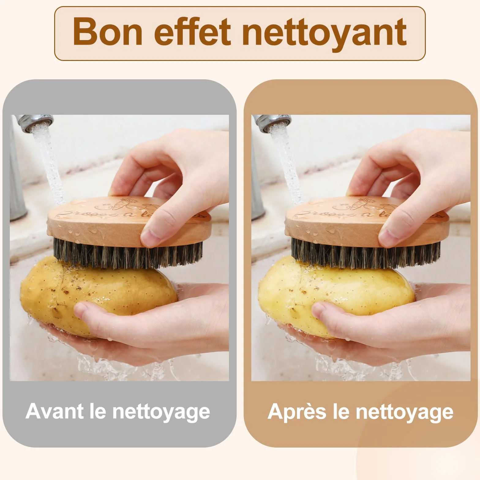 AUGSUN Brosse à Légumes, Brosses à Récurer pour Plats Fruits et Légumes, Brosse de Nettoyage Cuisine