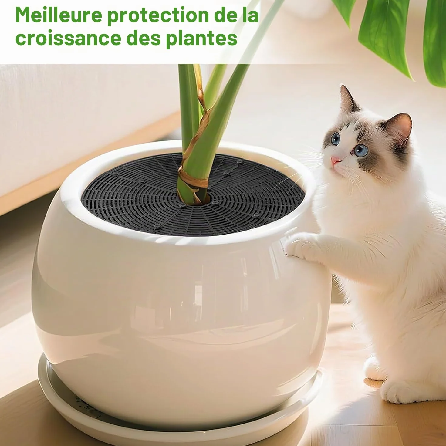 Grille Protection Plante 52cm 2pcs Chat Non Toxique Pot de Fleurs