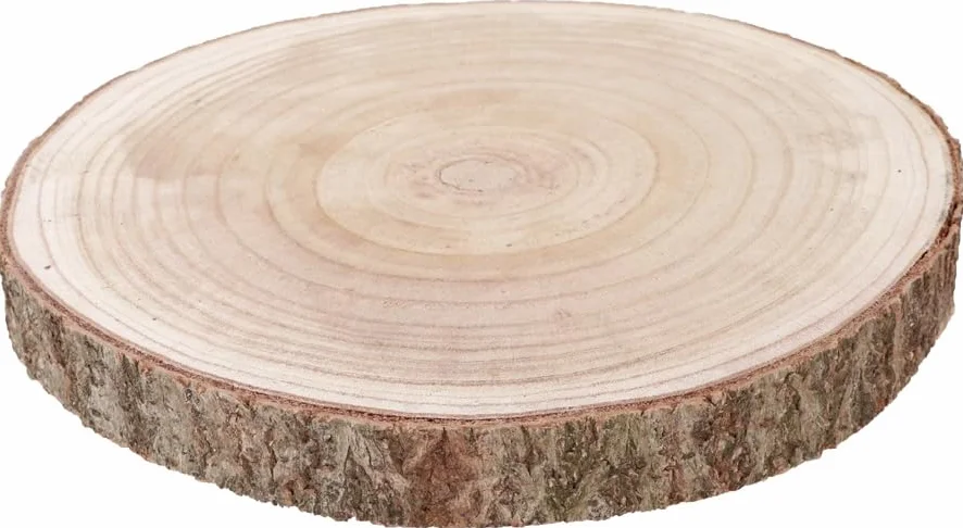 Grand Rondin en Bois Naturel Plat Ø 35-38cm