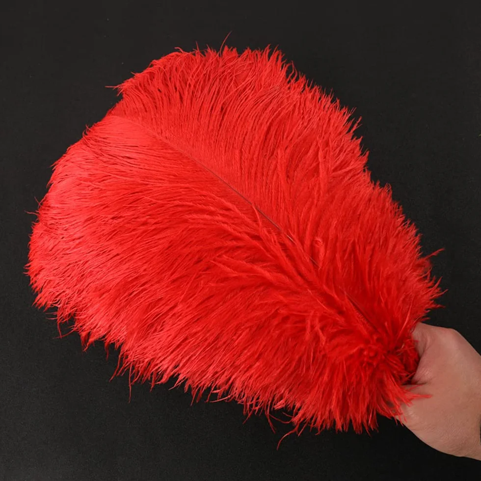 Duories Lot 10 Plumes d'autruche Naturelles 35-40 cm pour Loisirs créatifs Décoration Maison Rouge