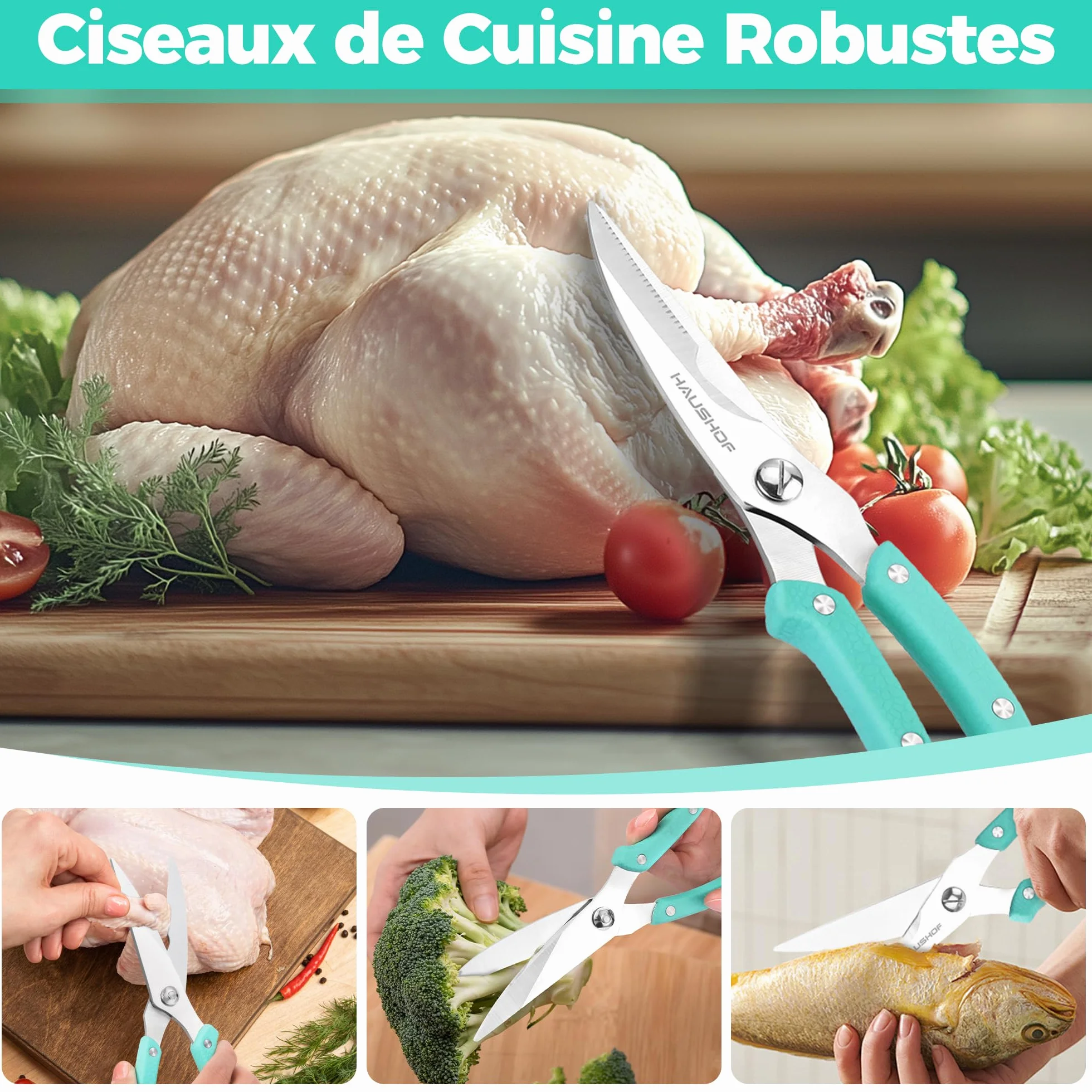 HAUSHOF Ciseaux à Volaille Robustes 255 mm, Acier Inoxydable, Ciseaux de Cuisine Professionnels