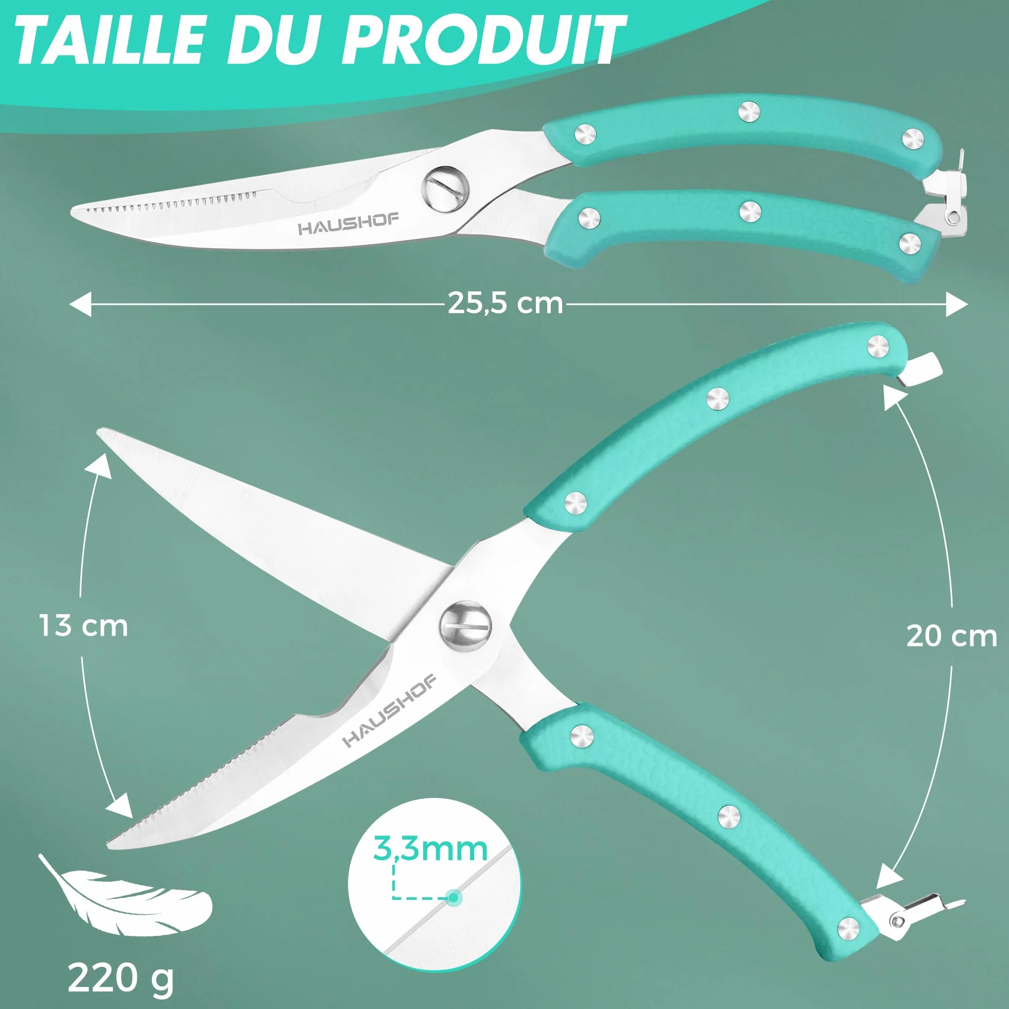 HAUSHOF Ciseaux à Volaille Robustes 255 mm, Acier Inoxydable, Ciseaux de Cuisine Professionnels