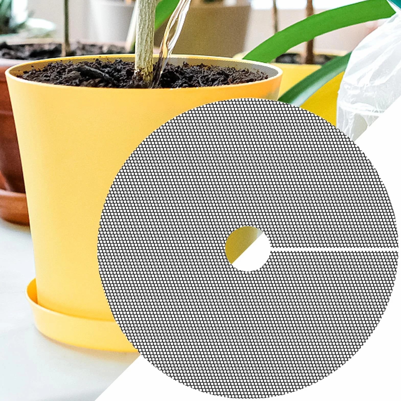Grille de Protection pour Pot de Fleurs 40cm, Protège la Terre des Animaux et des Enfants