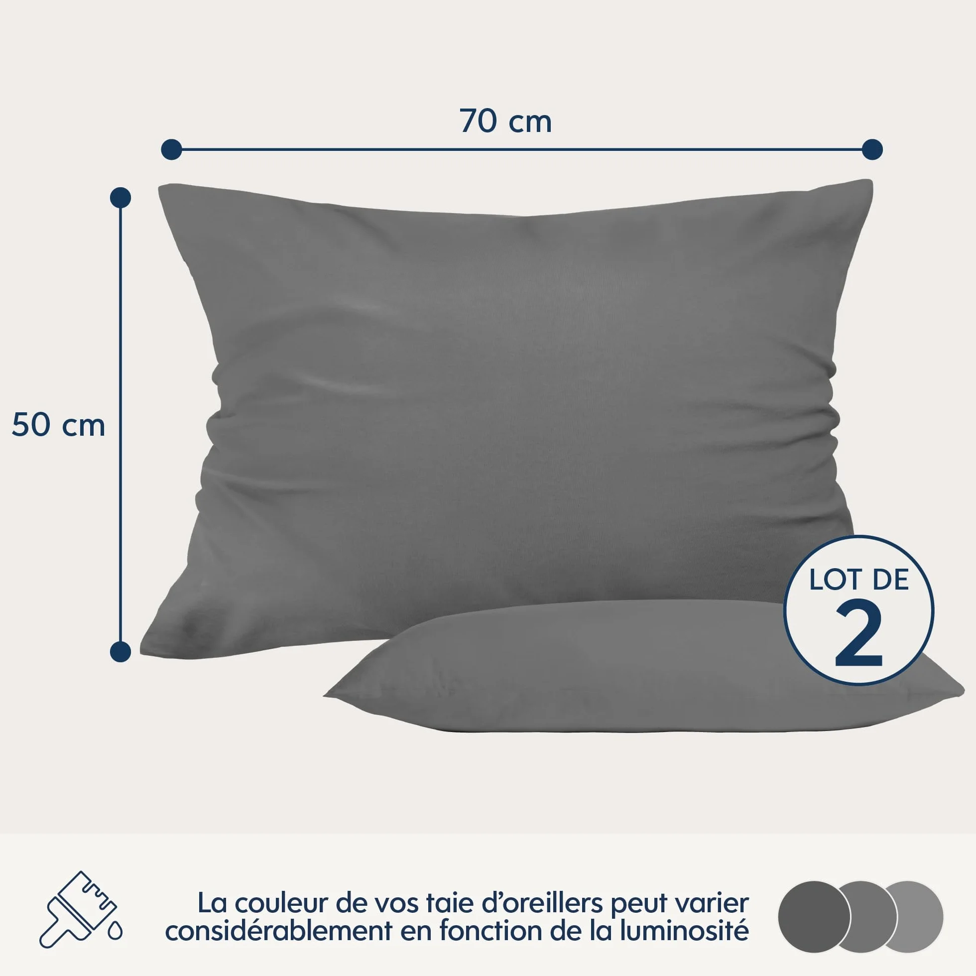 Dreamzie Oreiller 50x70 Lot de 2 Microfibre Oeko-Tex Housse Coussin Douce Brossée Toucher Peau de Pêche Anthracite