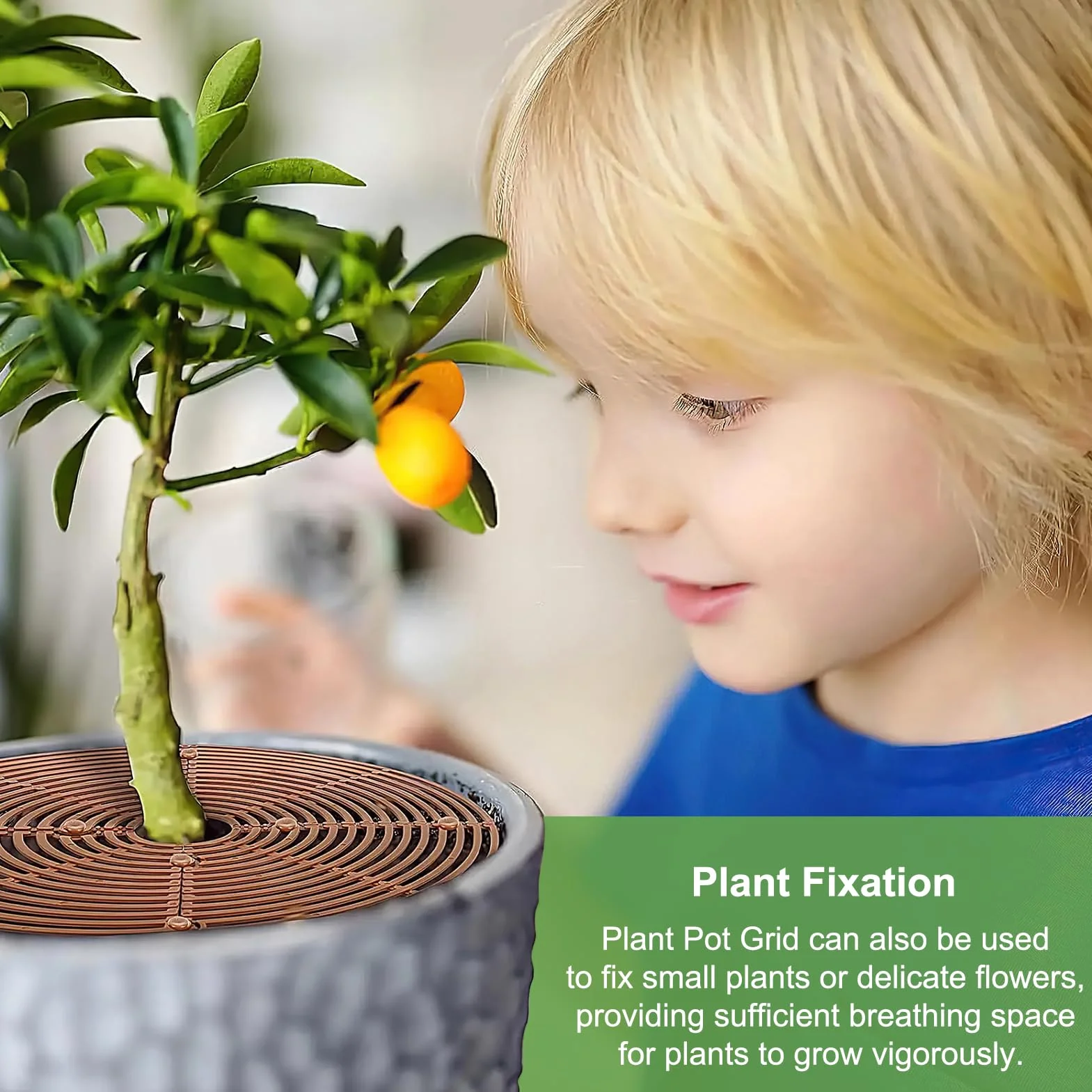 Grille pour Pot de Plantes 30cm Plastique Protecteur Fleur Chat Chien Anti-Fouille 4 Pièces