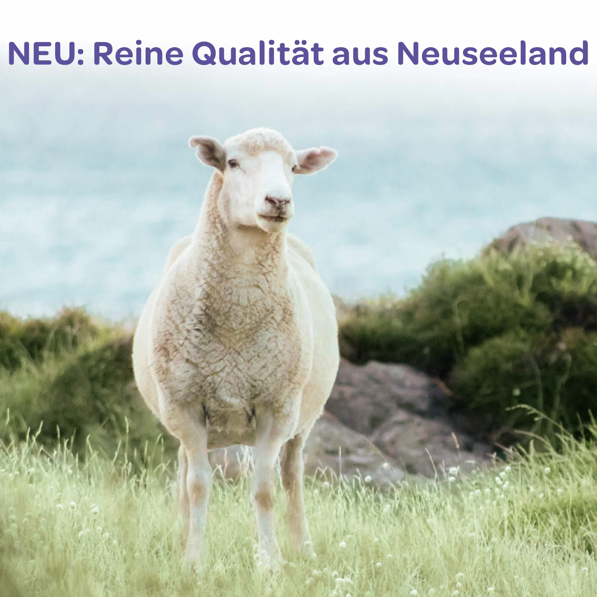 LANSINOH HPA Lanolin Brustwarzensalbe, 40 ml Onguent