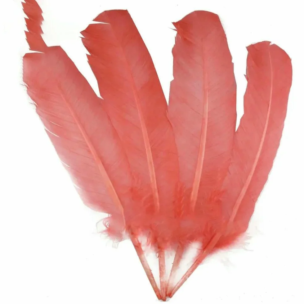 Plumes de faisan carnaval 28-33 cm 11-13 pouces 10 pièces Vert fruit