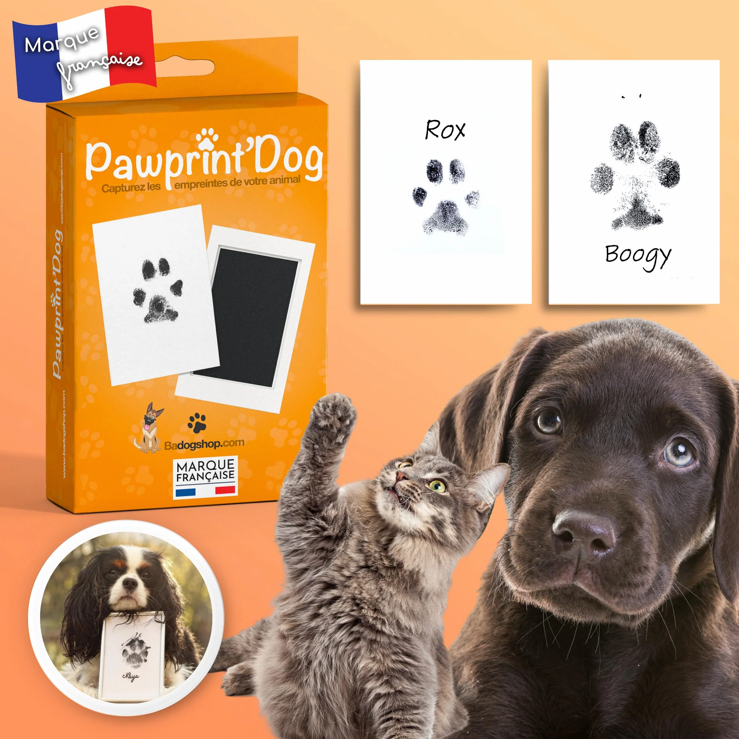 Kit Empreinte Chien Tampon Encreur Patte Chien Chat Souvenir Tatouage Cadre Grande Taille 12,5x8cm