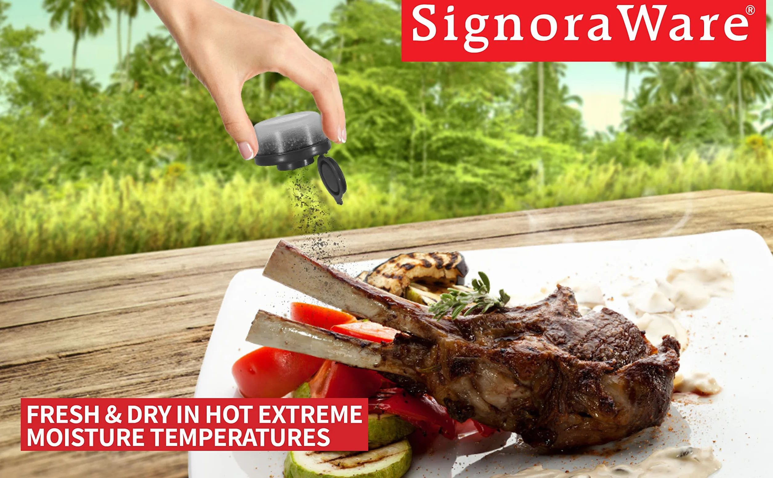 SIGNORAWARE Lot de 2 salières et poivrières étanches camping pique-nique extérieur cuisine voyage ensemble épices transparent couvercles rouges