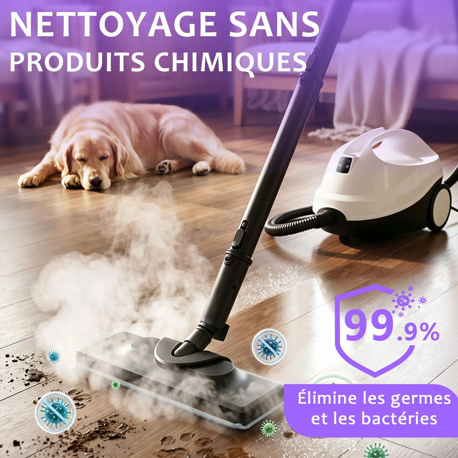 Nettoyeur vapeur portable 120 °C 20 accessoires pour sols canapés fenêtres meubles cuisine