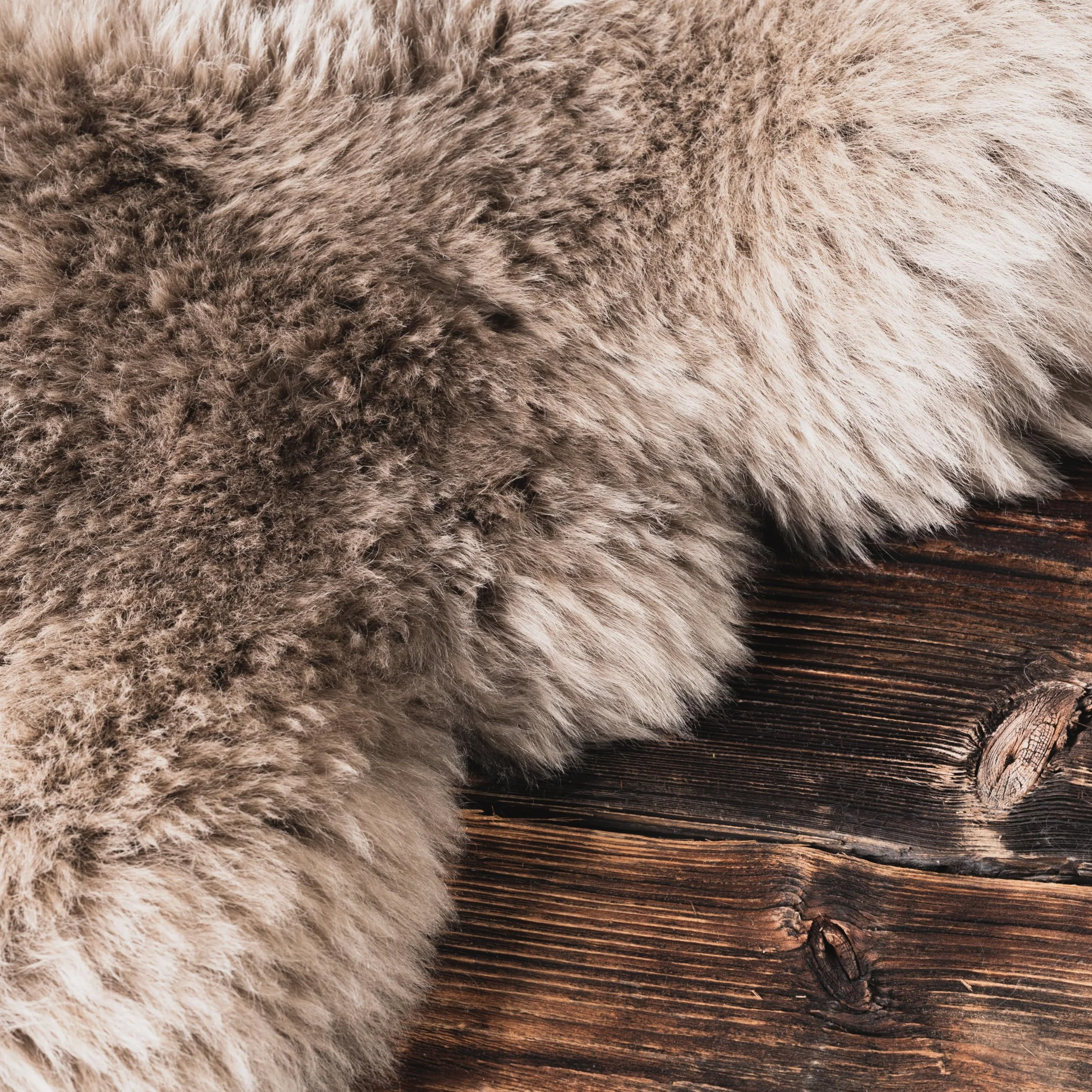 Peau de mouton véritable de qualité supérieure - Beige - 100-110 cm - Sans odeur - Alternative à la fourrure synthétique - Tapis en peau d'agneau pour canapé - Peau de mouton