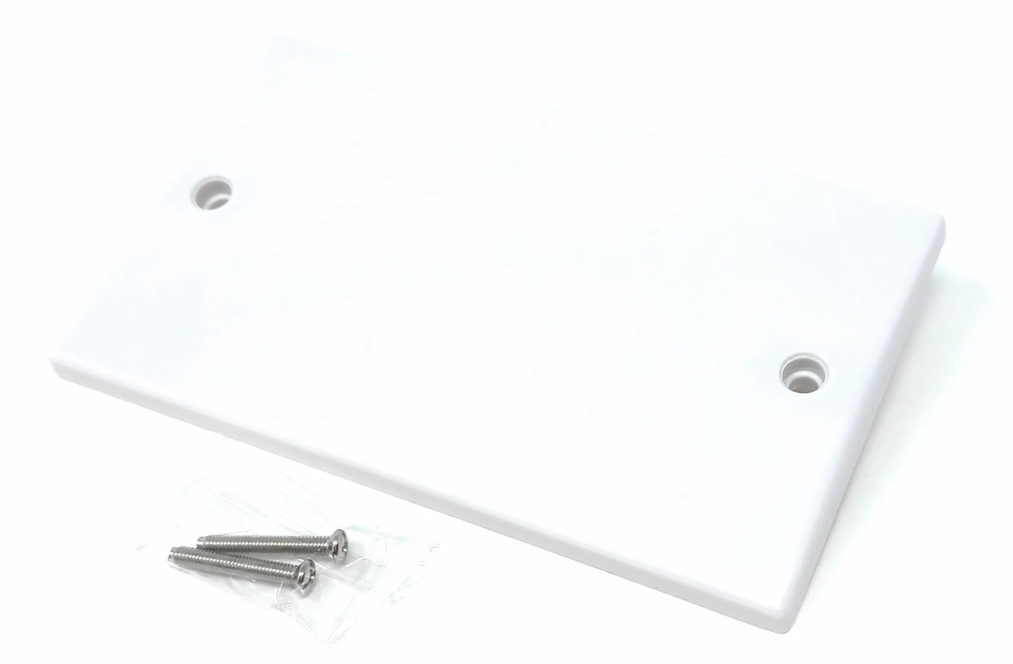 Plaque d'obturation Double 2 Gangs Blanche pour Prises électriques avec vis 1 pièce