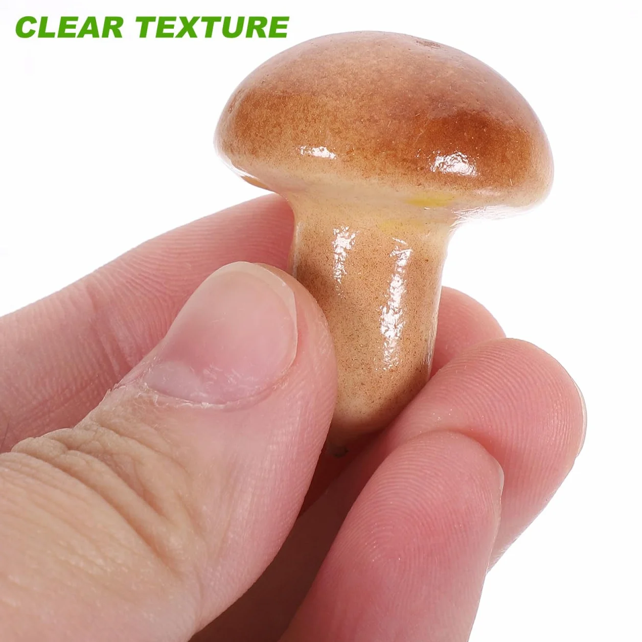 GLEAVI Miniatures Champignons 20 Pièces Décoratifs pour Photo Bureau Enseignement