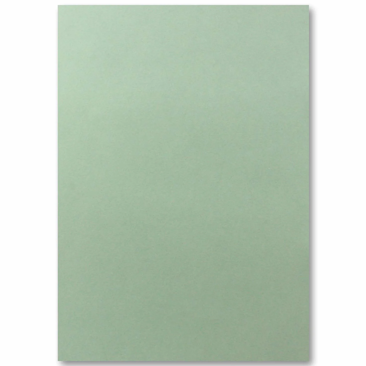 FarbenFroh by GUSTAV NEUSER Papier tonique Carton photo A4 210 x 297 mm 240 g/m² eucalyptus vert