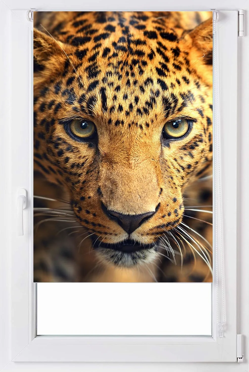 Estoralis | Animaux | Store Enrouleur | sans Outil Tissu translucide imprimé | A-122 | 120 x 150 cm. (Largeur/Hauteur) Taille du Tissu 117 x 150 cm. | Stores pour fenêtres et Portes