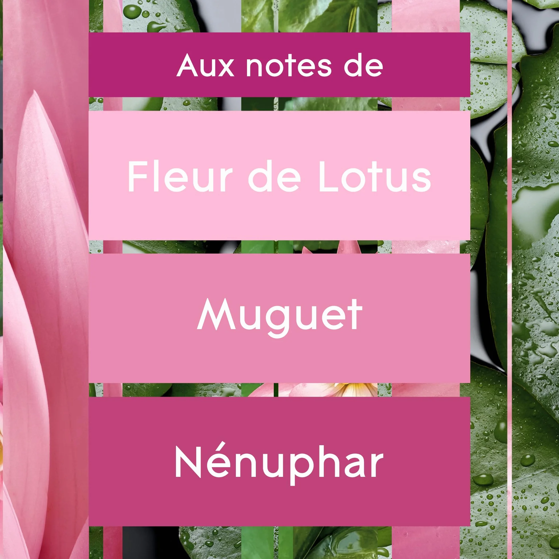 Glade Sense et Spray Recharge Diffuseur à Détection de Mouvement Infusé Aux Huiles Essentielles Relaxing Zen 1 Recharge