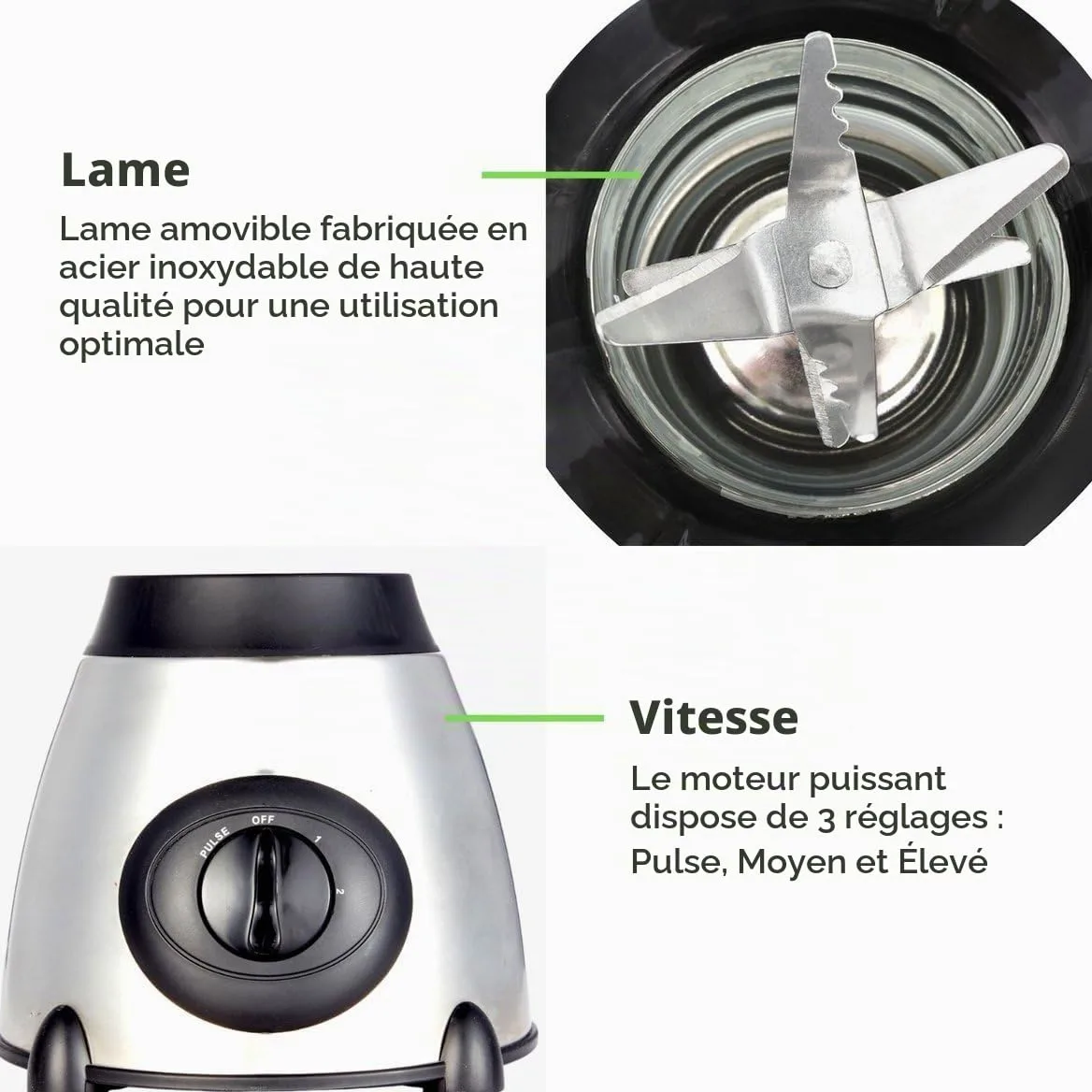 Royal Swiss® Blender 1030W – Mixeur Smoothie, Shake et Glace Pilée – Inox Durable – Bol 1,5 L – Mixeur Familial Haute Puissance pour Cuisine Maison