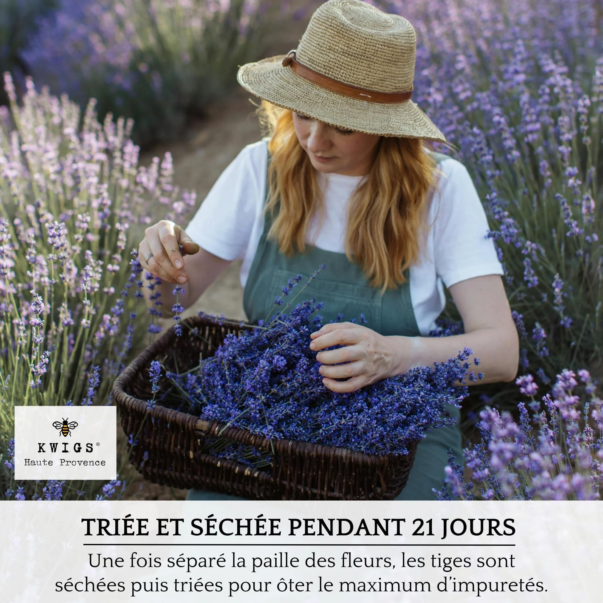 Lavande Séchée Provence 12 Sachets en Jute Doublée pour Placards Linge Armoire