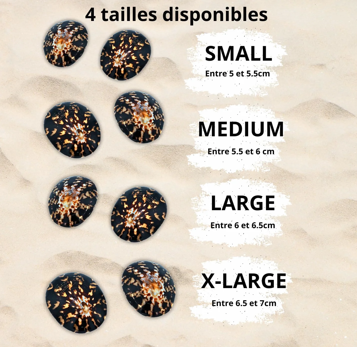 GENIUZ Coquillages Allaitement Coffret Large + Coussin + Ebook