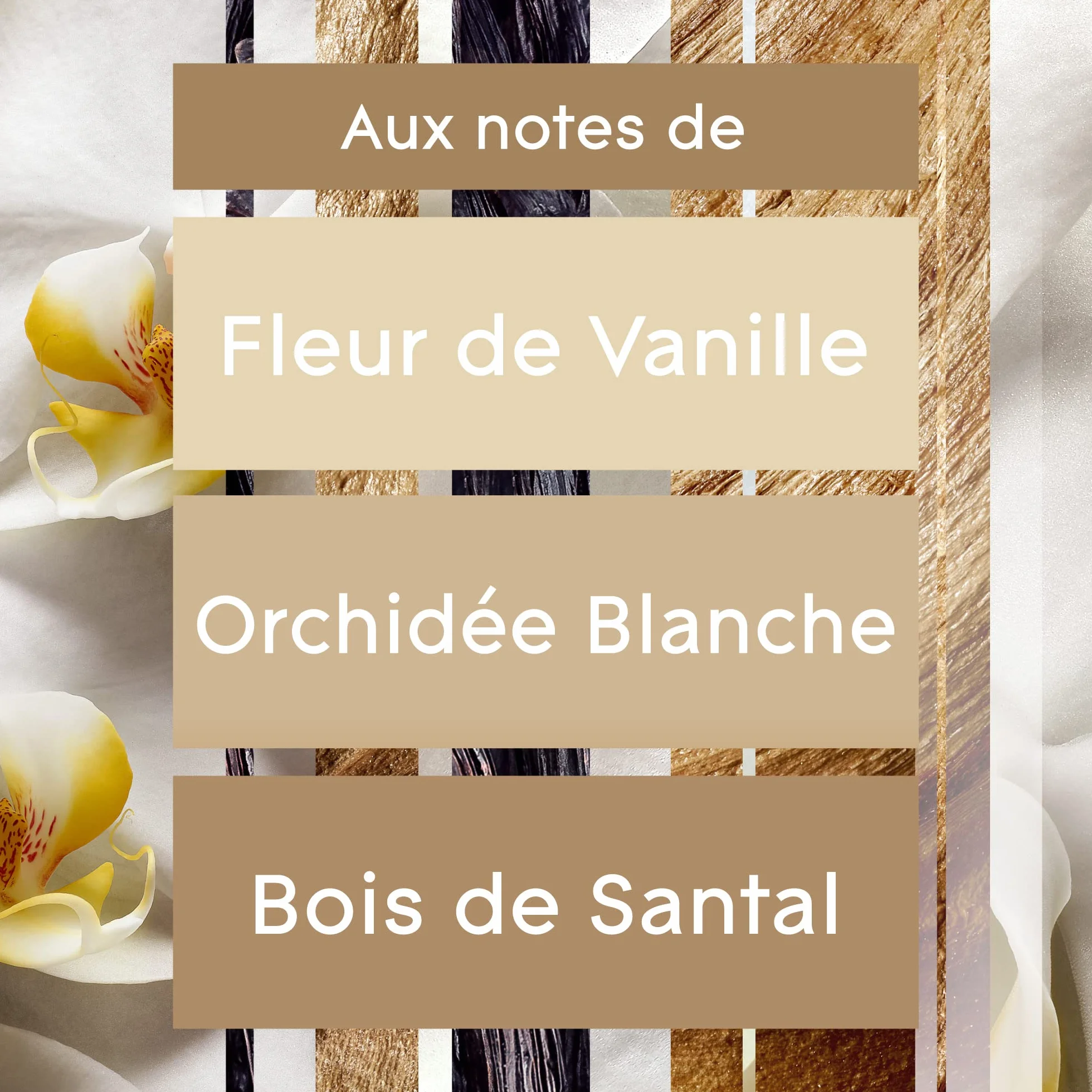 Glade Sense & Spray Recharges Diffuseur à Détection de Mouvement Huiles Essentielles Romantic Vanilla Blossom 3 Recharges