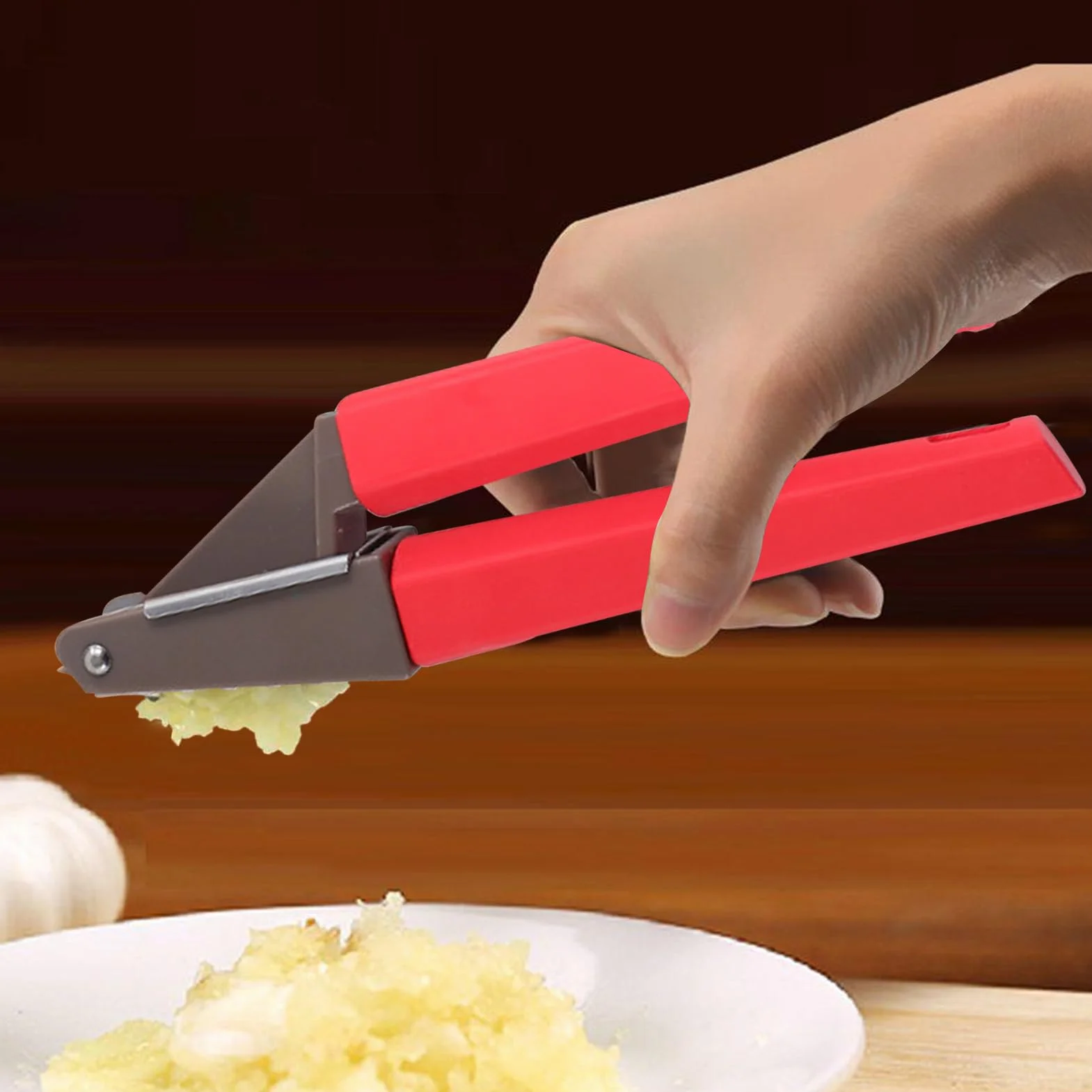 Presse-Ail en Acier Inoxydable Extracteur de Gingembre Outil de Cuisine