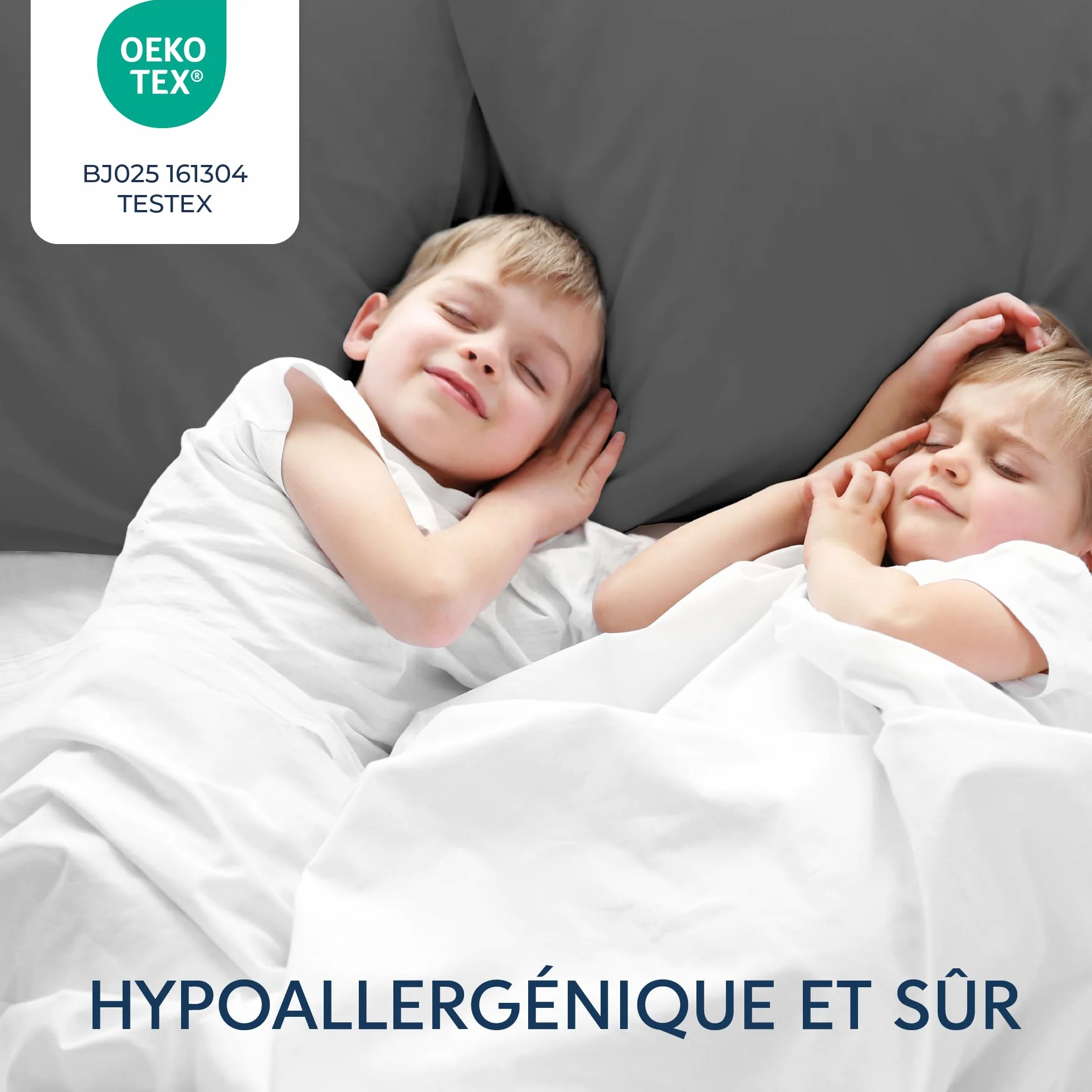 Dreamzie Oreiller 50x70 Lot de 2 Microfibre Oeko-Tex Housse Coussin Douce Brossée Toucher Peau de Pêche Anthracite