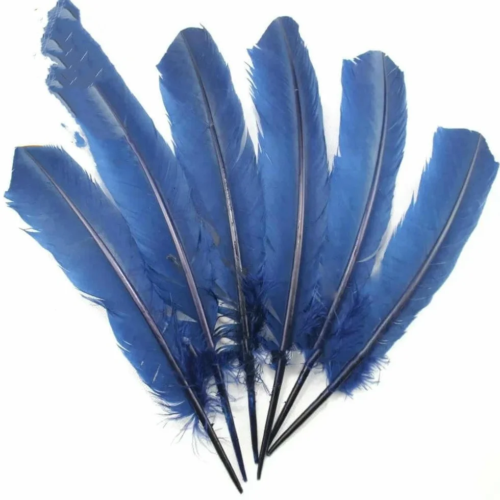Plumes de faisan carnaval 28-33 cm 11-13 pouces 10 pièces Vert fruit