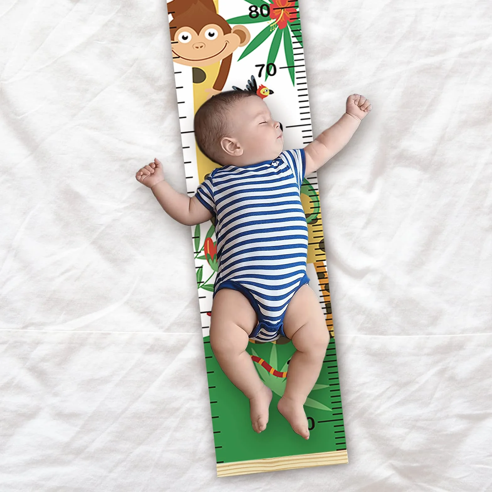 Règle de Croissance Murale Dinosaure pour Enfants 200cm x 20cm