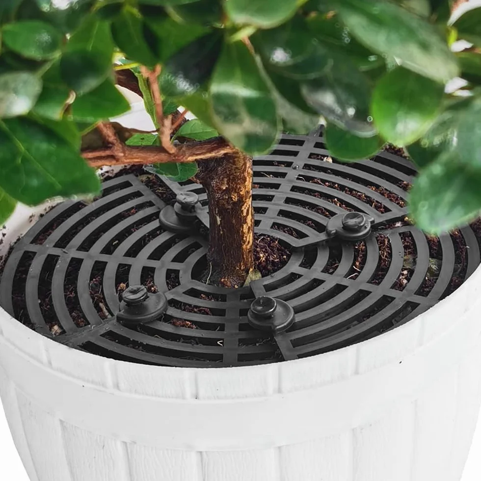 Mizikuu 4 Pièces Protection Plante Chat 30cm Grille Protection Plante Cadre de Grille de Couverture avec Clous de Sol