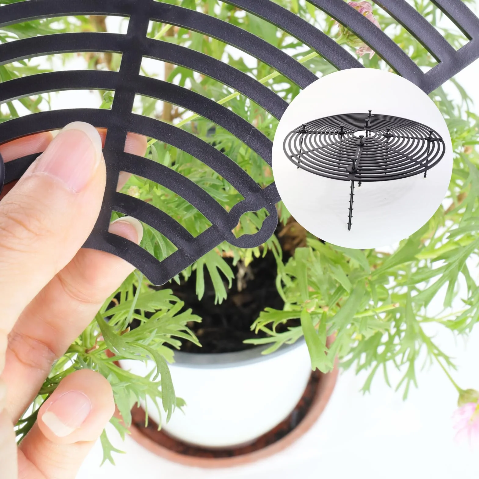 Grille de Protection pour Plantes en Pot 30 cm Ajustable avec Boulons en Plastique ABS Anti Chat Intérieur