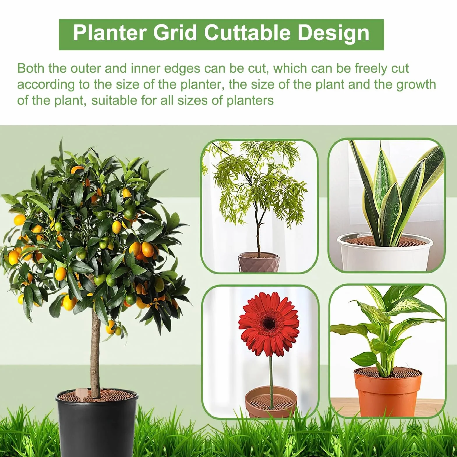 Grille pour Pot de Plantes 30cm Plastique Protecteur Fleur Chat Chien Anti-Fouille 4 Pièces