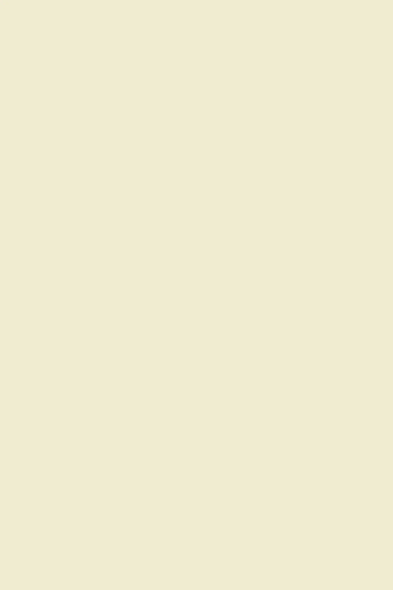 Papier cartonné ivoire A4 210 x 297 mm 100g Lessebo Smooth Ivory imprimable