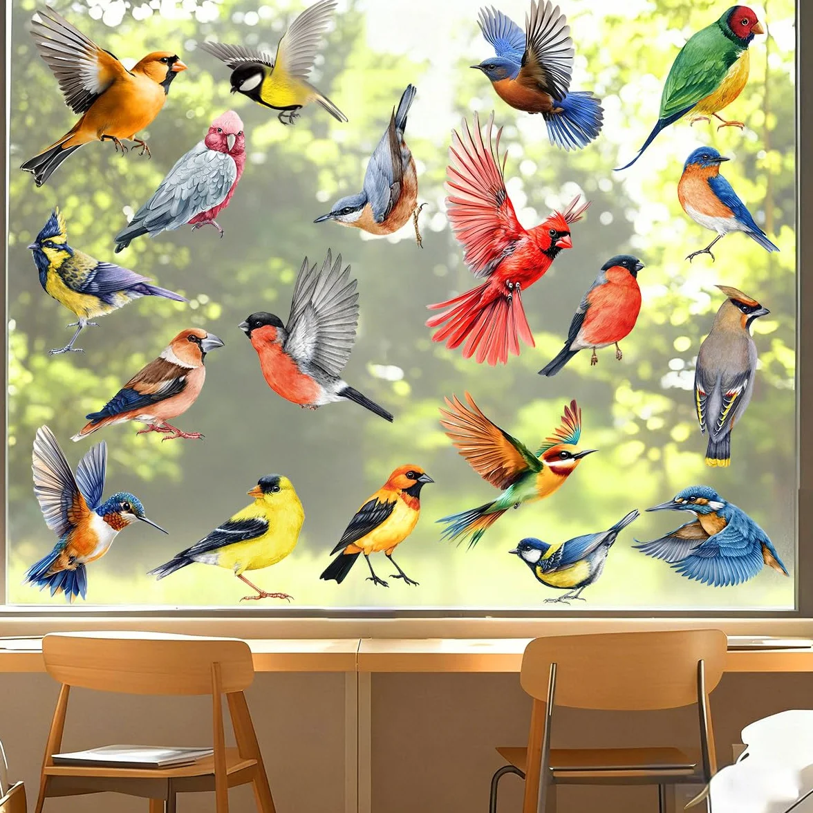 Autocollants pour fenêtres Protection des oiseaux Stickers anti-collision