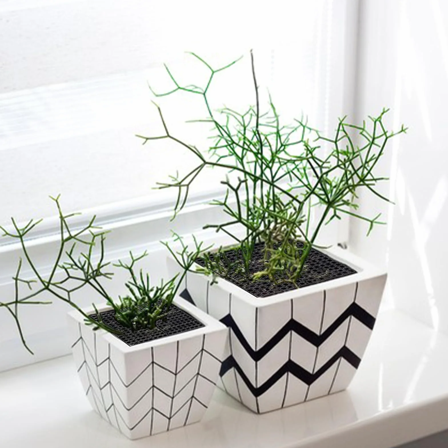 Grande Grille de Pot de Fleurs 30 Cm Découpable, Protection Plante Chat Animaux Domestiques