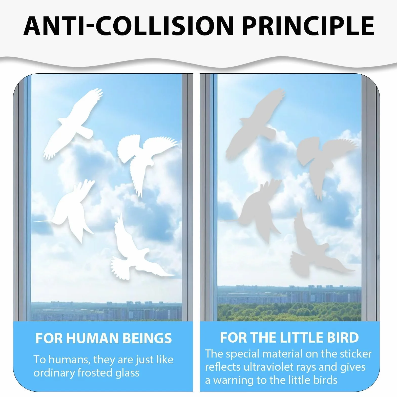 Autocollants Anti-Collision Oiseaux Blancs Protection Vitres Adhésifs Électrostatiques Réutilisables Décoration