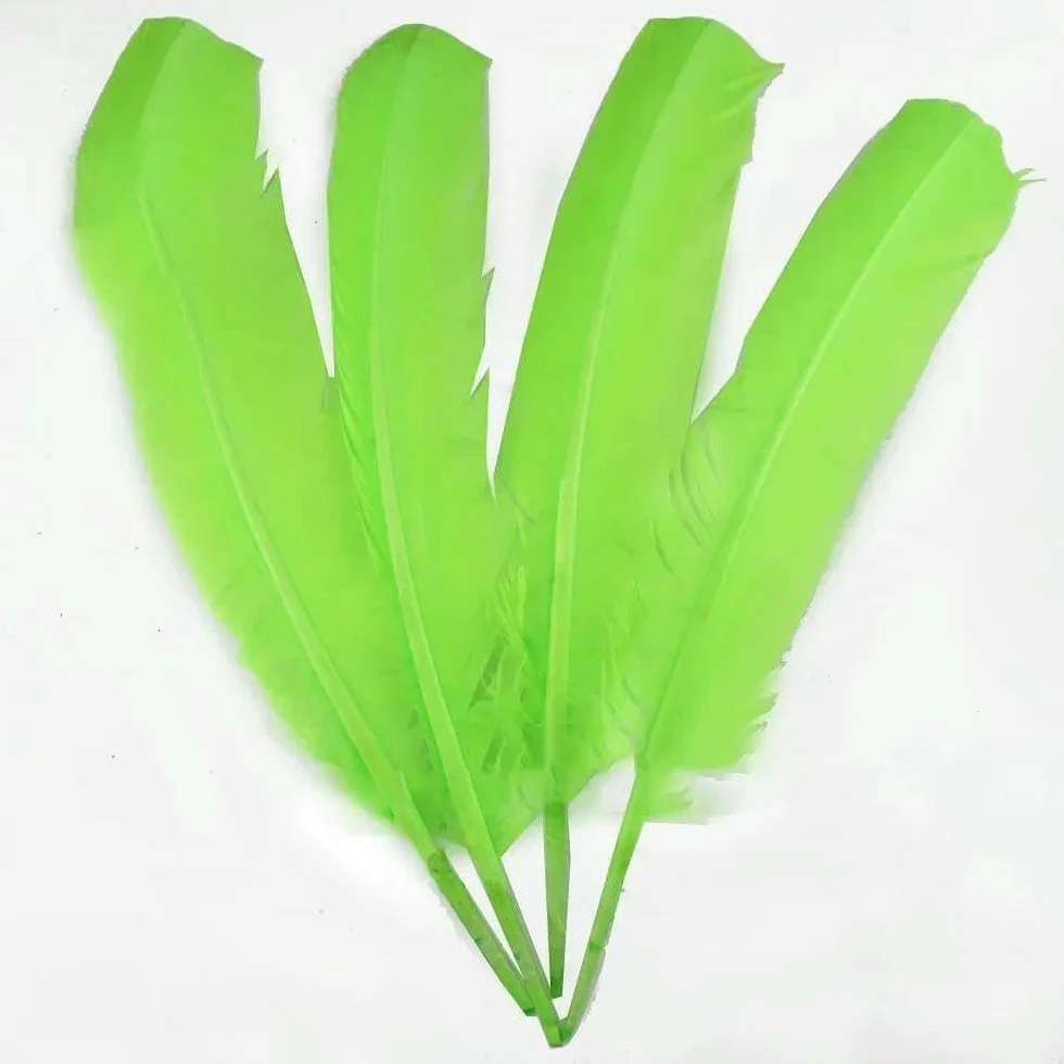Plumes de faisan carnaval 28-33 cm 11-13 pouces 10 pièces Vert fruit