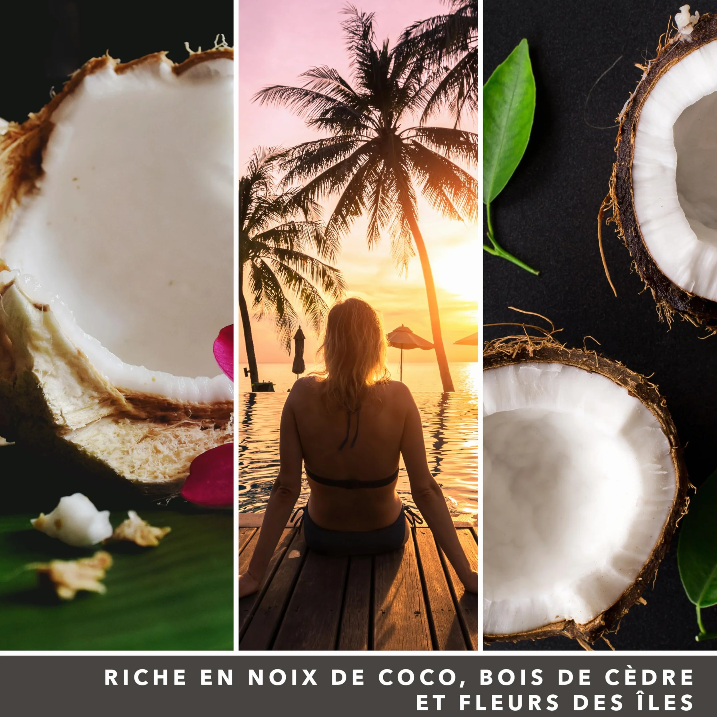 Yankee Candle Bougie Parfumée Noix de Coco Noire Jarre Longue Durée 150 Heures