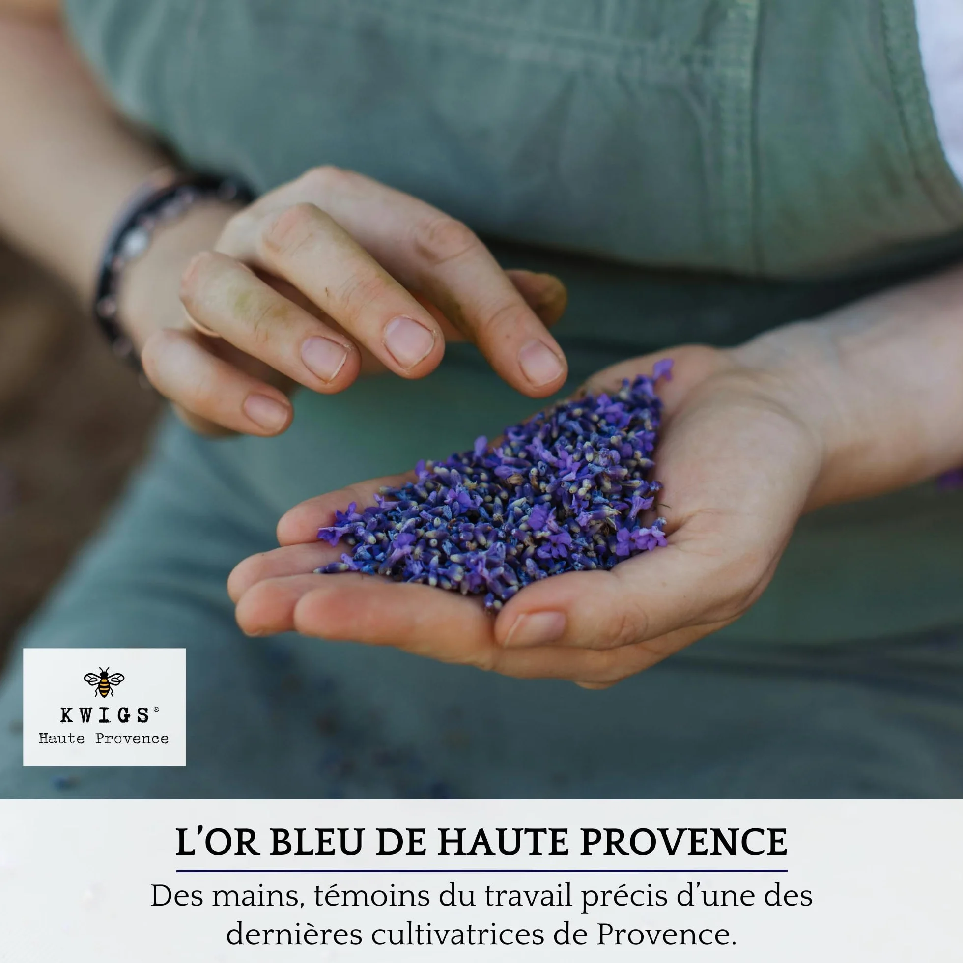 Lavande Séchée Provence 12 Sachets en Jute Doublée pour Placards Linge Armoire