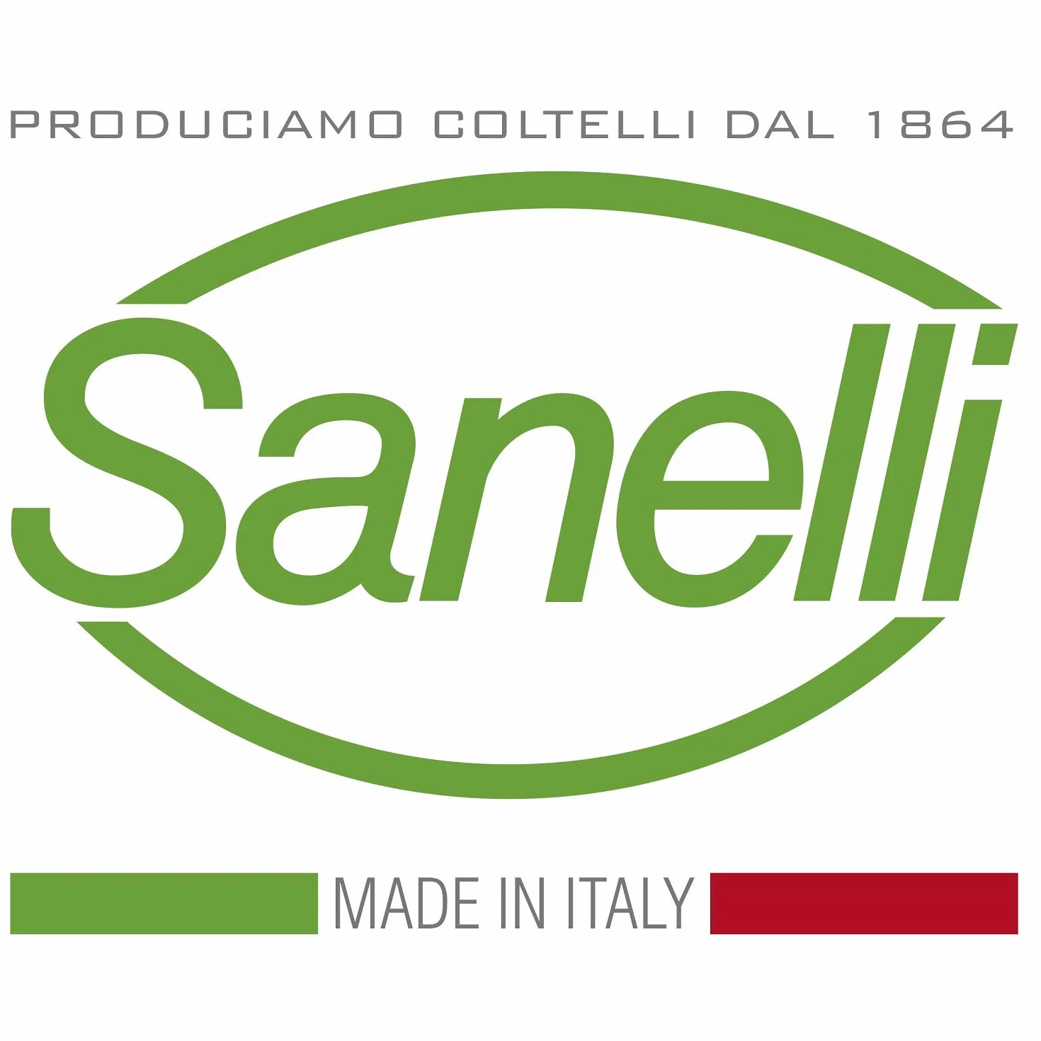 Sanelli ligne Skin Couteau à fromage 2 poignées, acier inoxydable, vert, longueur lame 30 cm.