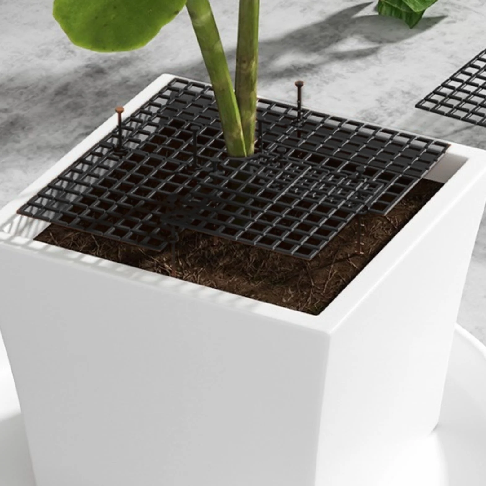 Grille de Protection pour Pot de Fleurs Rond 30 cm Noire Découpable