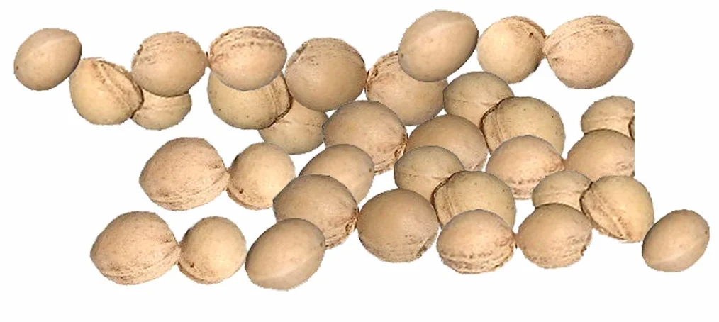 Noyaux de cerises nettoyés 10 kg – Garnissage pour coussin chauffant et doudous