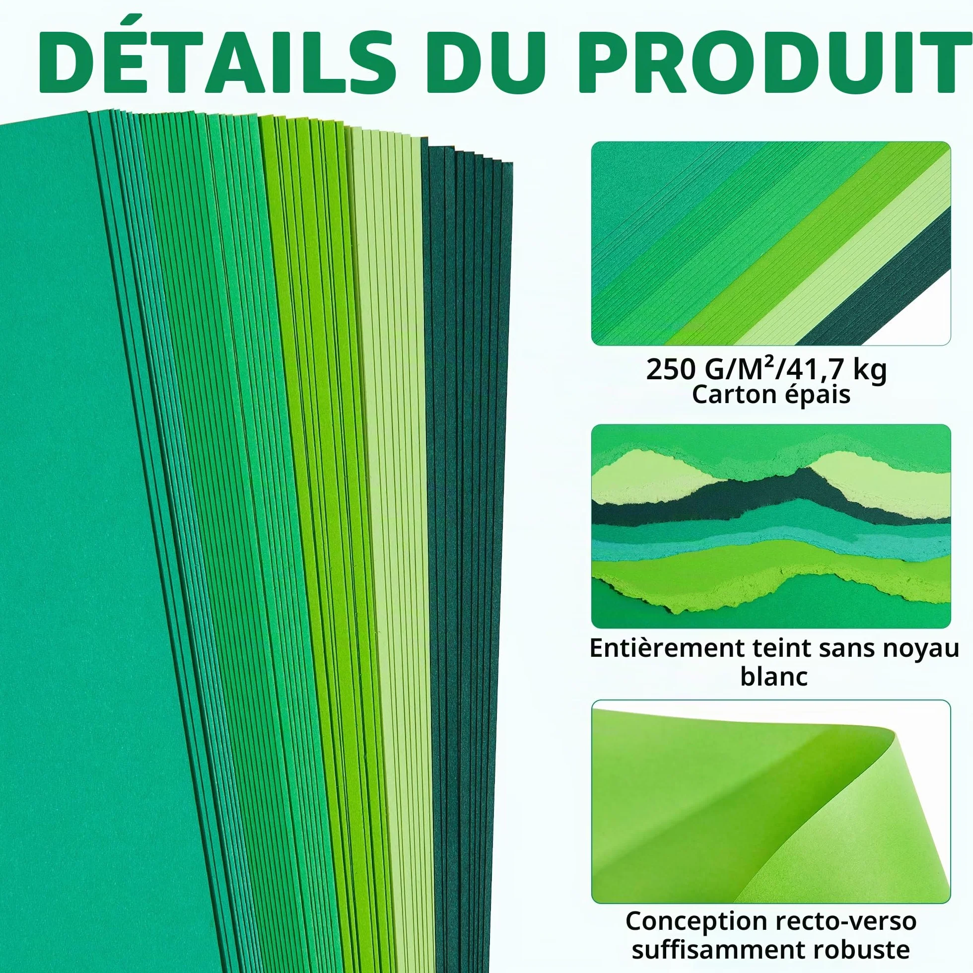 Green Tones 6 Couleurs PAC06MX3 Carton Épais 250g/m² 60 Feuilles