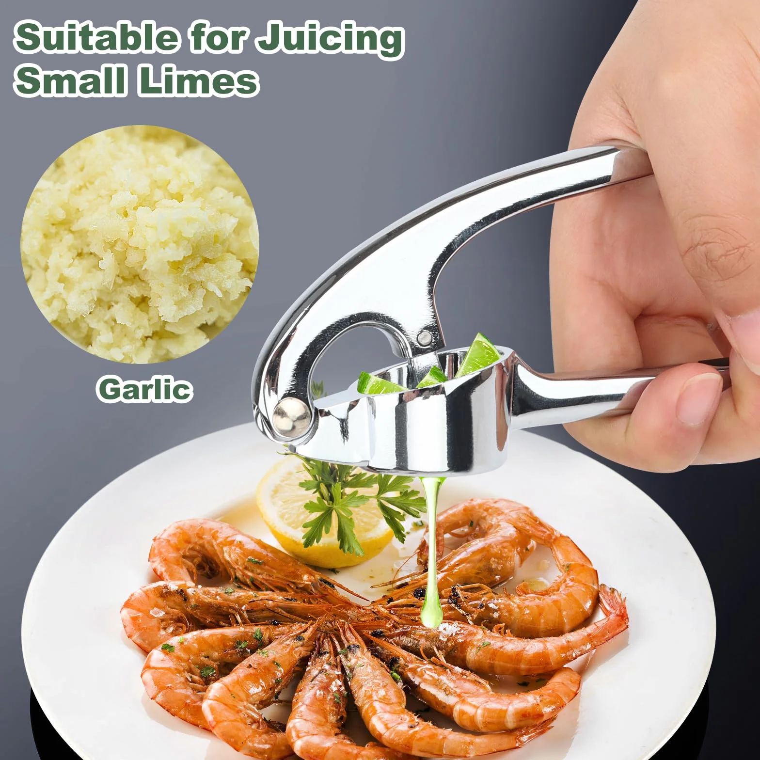Presse-ail de cuisine professionnelle Acier Inoxydable Concasseur d'ail
