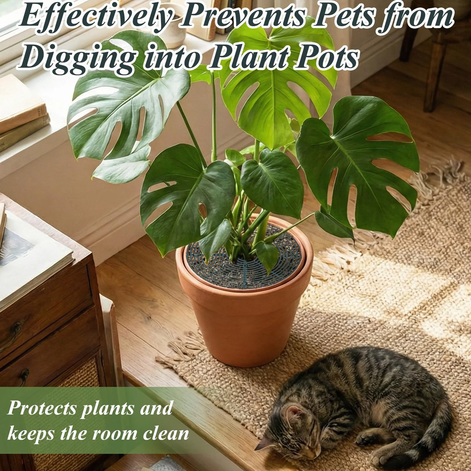 Lot de 4 grilles de pot de fleurs 30 cm polypropylène protection plantes chat enfants animaux