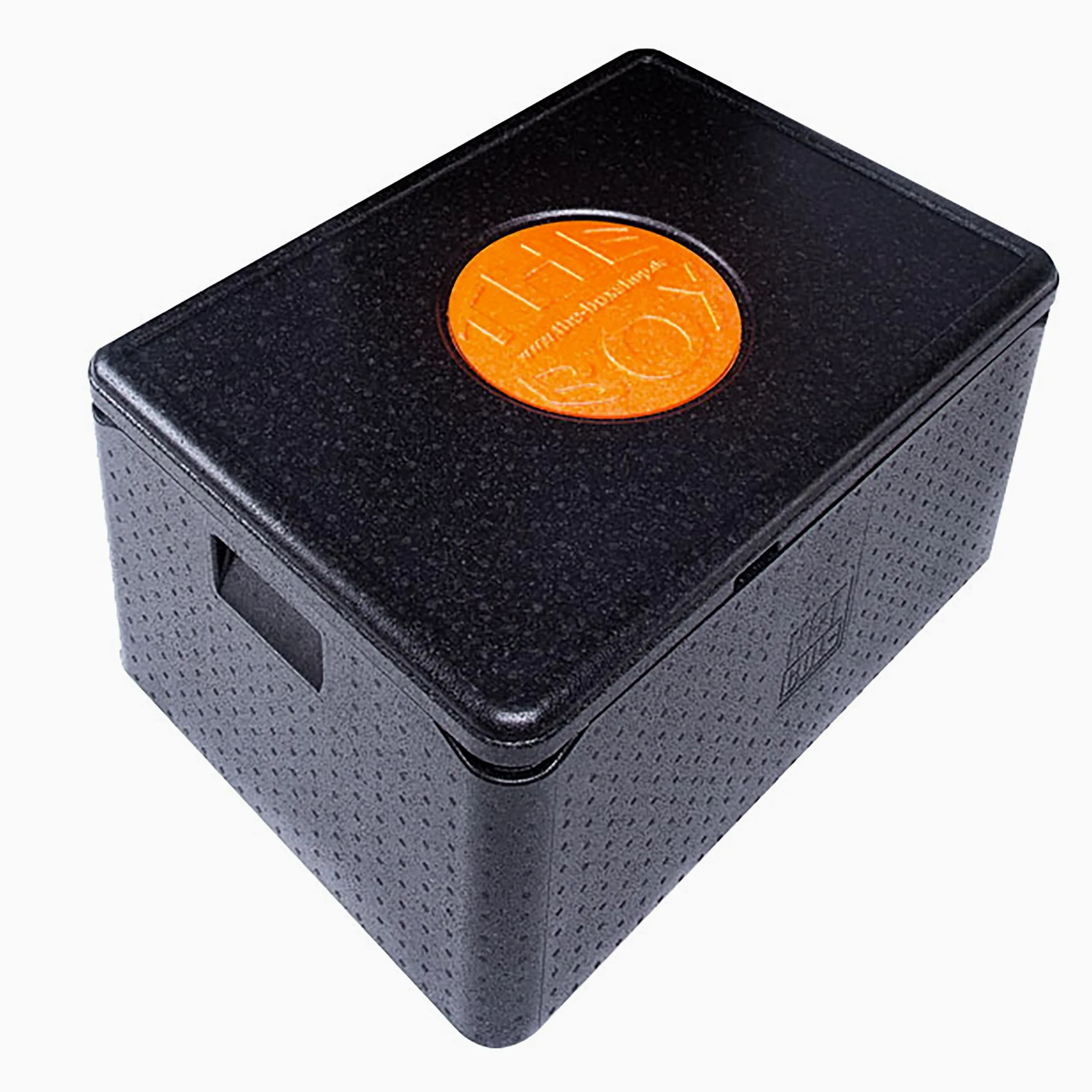 THE BOX-Caisse Isotherme Universelle de Transport (~ 80 litres) - 68,5 x 48,5 x 36,5 cm - Hauteur utilisable : 30 cm - polypropylène - Noir - 1 pièce