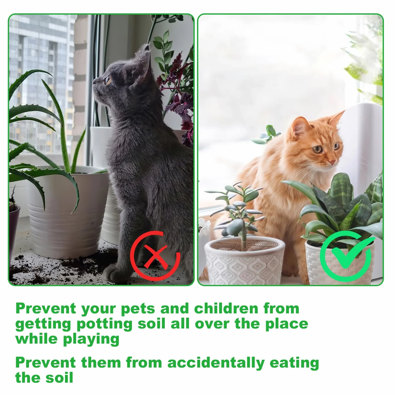 Grille Protection Plante Chat 30cm Cadre Jardin Sécurité Enfants Animaux